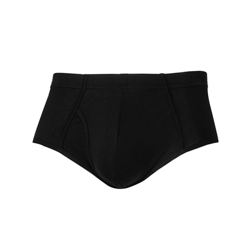 Briefs pour hommes
